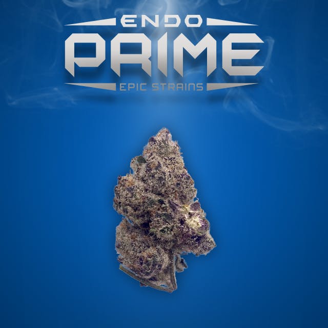 ENDO PRIME PABLO 14G