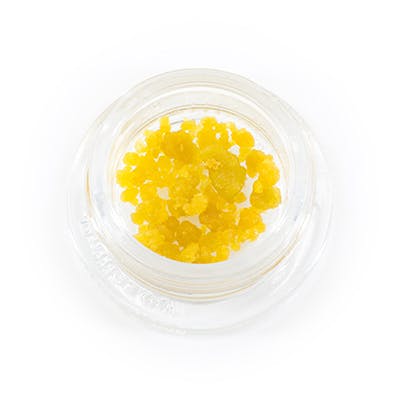  Live Sugar 1g - POTUS Berriez