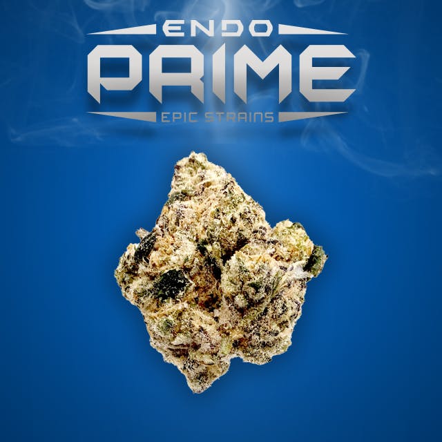 ENDO PRIME WONKA BARS 14G
