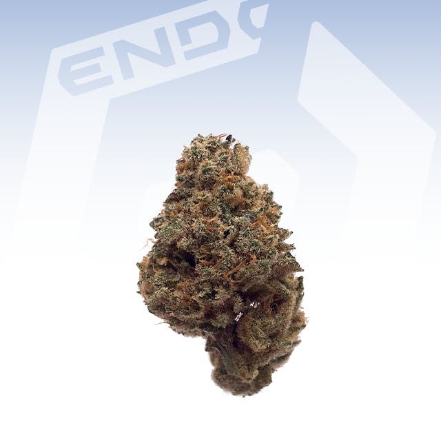 HAMMONTREE BACIO 28G