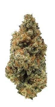 Animal Mints 7g Popcorn