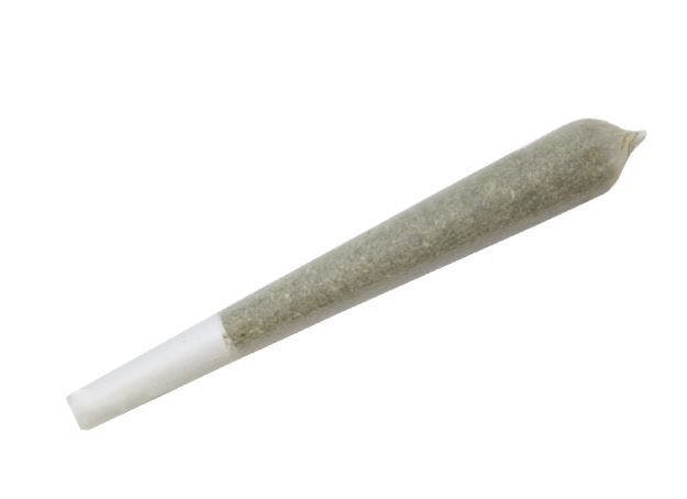  Infused Sativa Preroll 0.5g