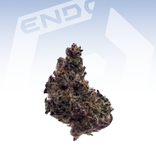 HAMMONTREE FRIED APPLES SMALLS 14G