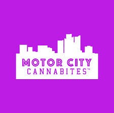 (AU) - Motor City Cannabites | Garlic Parmesan Pretzel Sticks | 100mg | Edibles