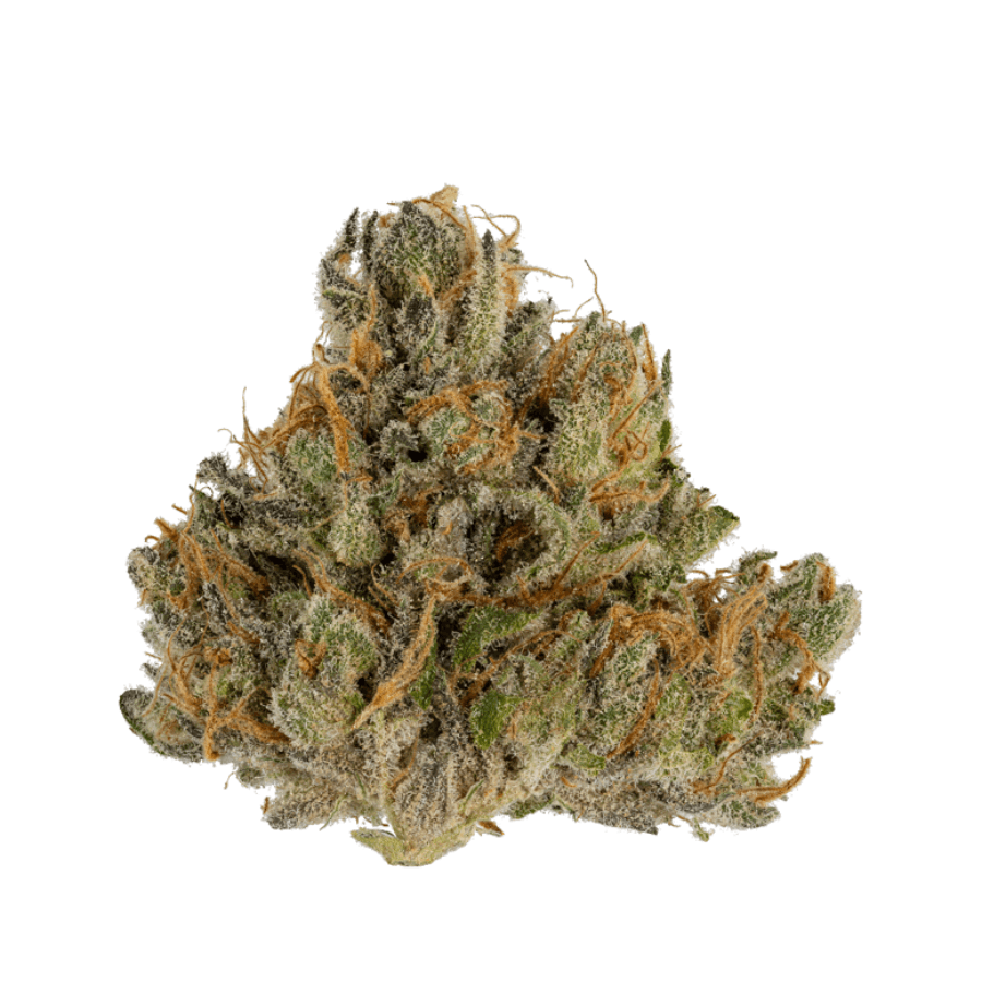 Dutch Touch Genetics - Crunchberries #3