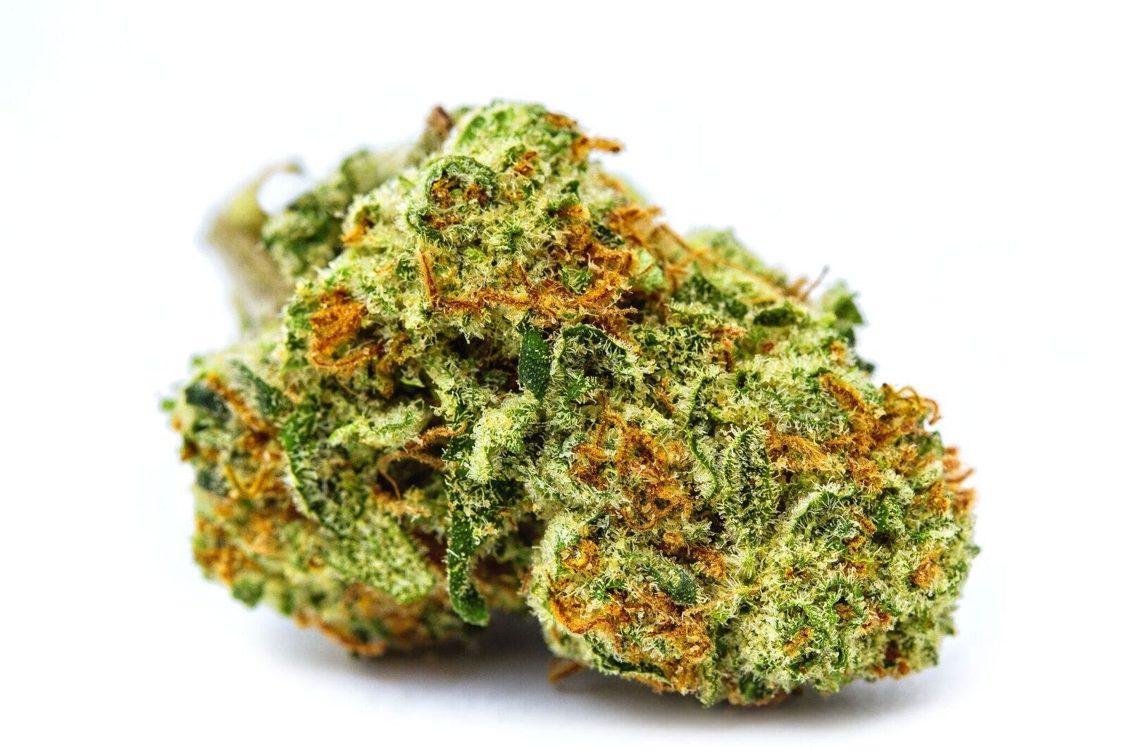 | Flower Banana Milkshake (H)