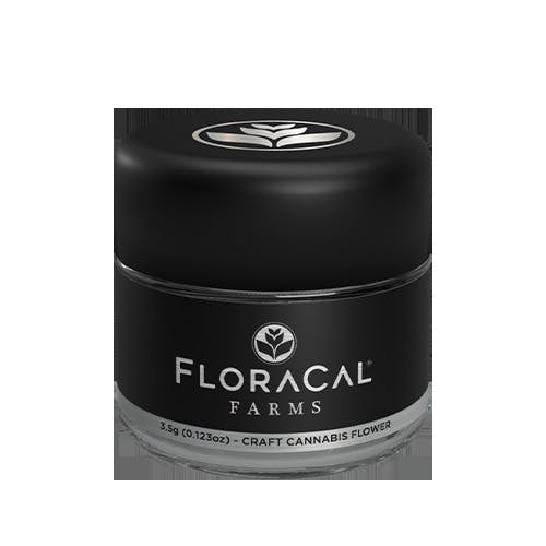 Floracal Air Gelato #23 Flower