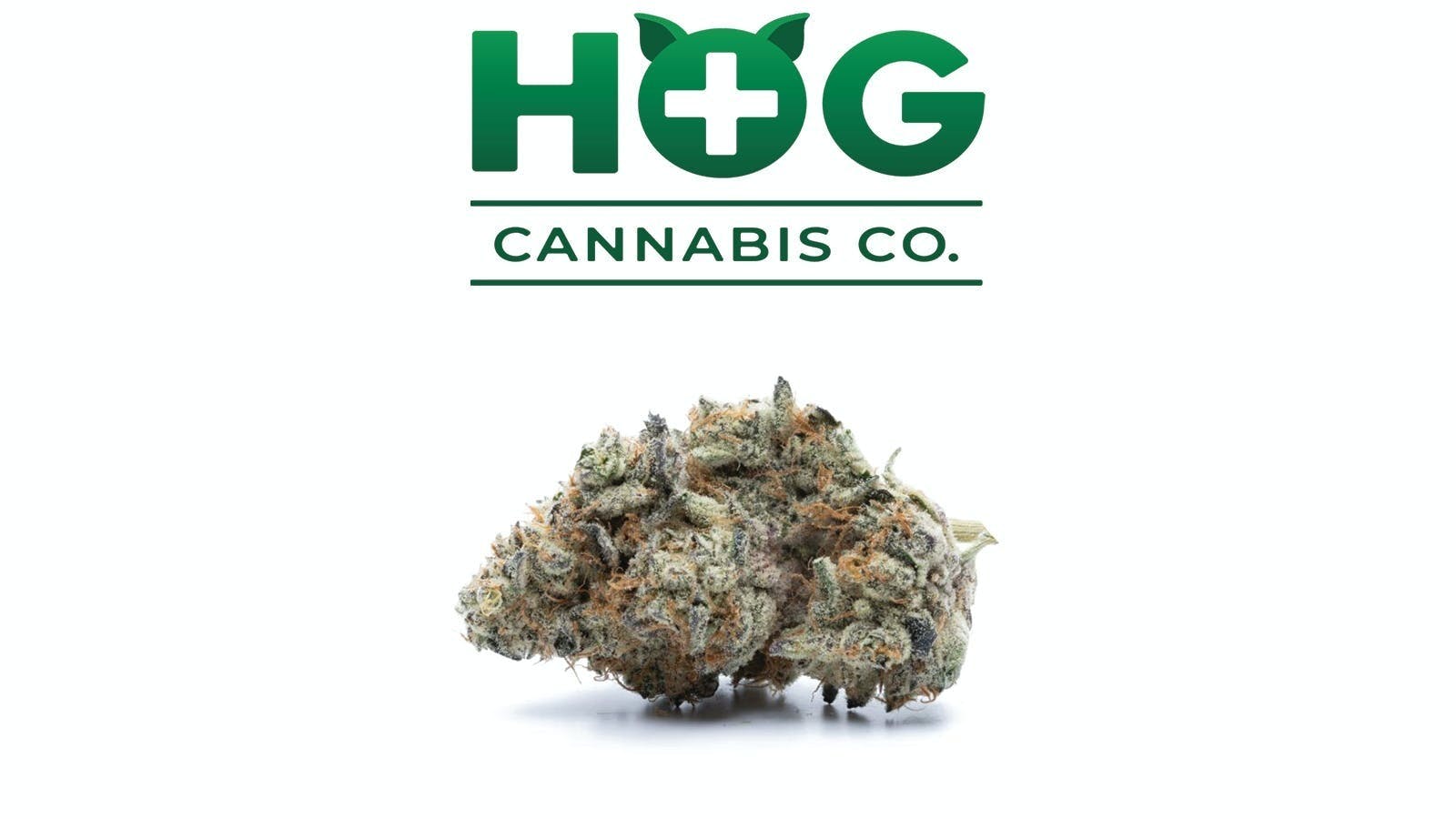 H.O.G. | Pineapple Burst | Flower