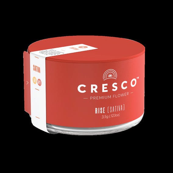 Labs | Flower Rollins (S)