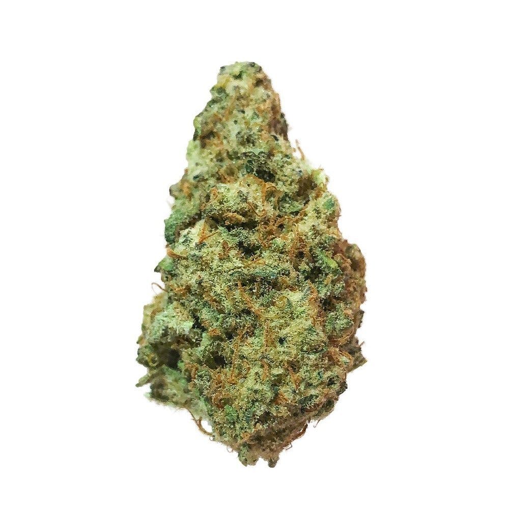  | Flower Zeebra Cakes (S)