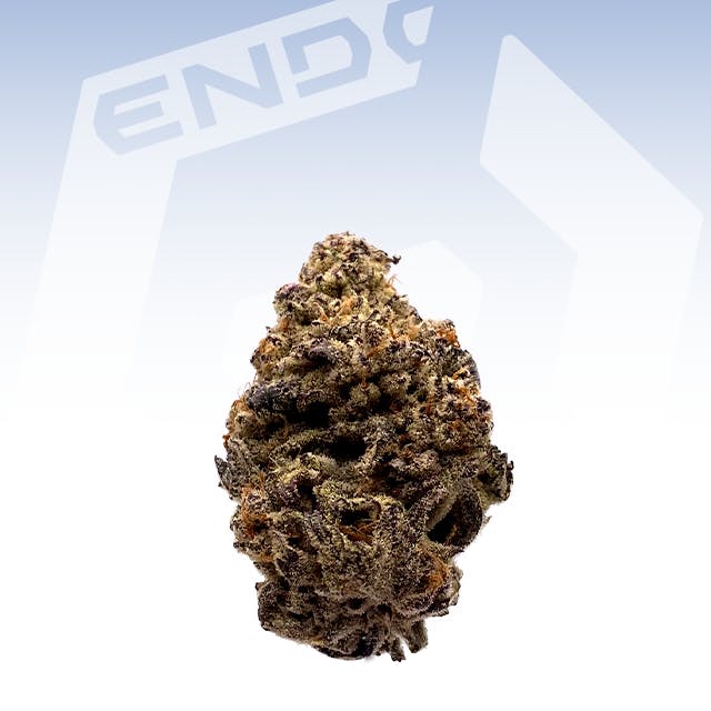 HAMMON DEVIL DRIVER 14G