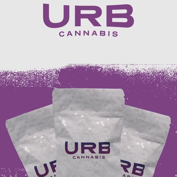 High Society - Gary Payton 28g (H)