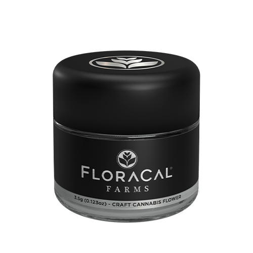 Sativa Flower 3.5g - Purple Plague