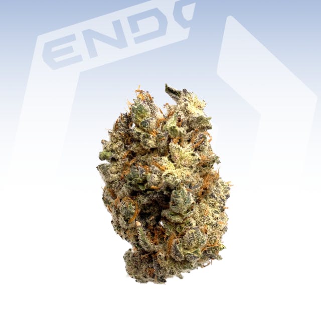 HAMMONTREE GREASE MONKEY 14G