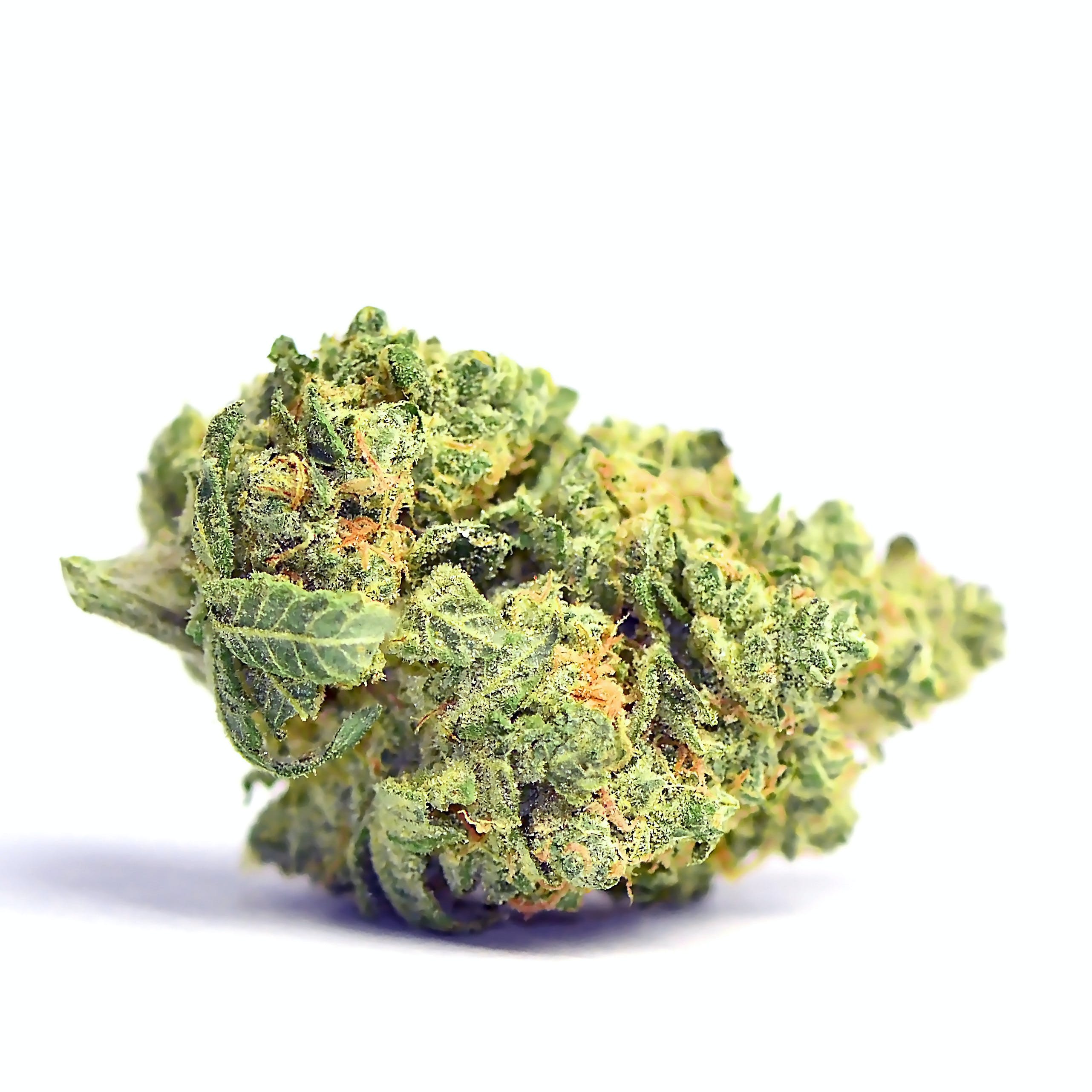 Natures Grace | Flower Sour Banana Sherbet #2 (H)