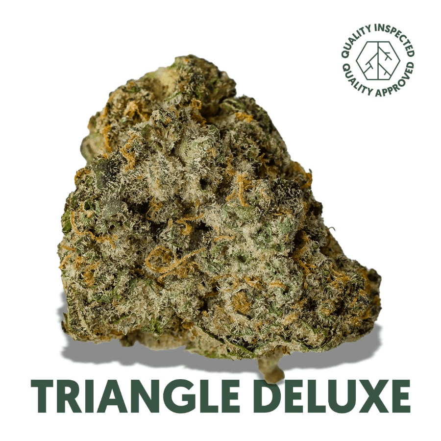 Triangle Deluxe (REC)