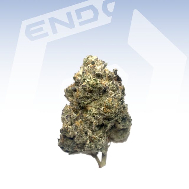 HAMMON TREE ANIMAL FACE 14G