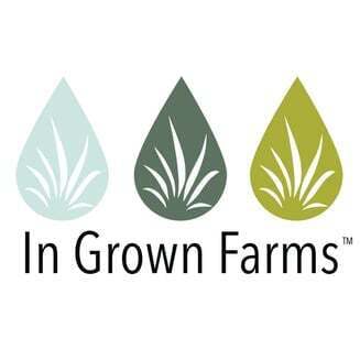 Margy Dog | INNOCENT (REC)