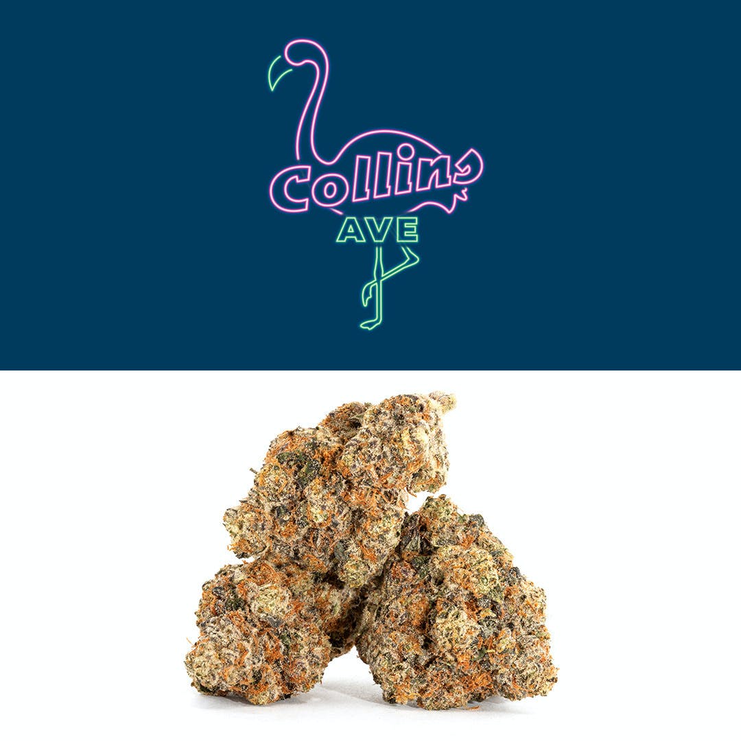 Collins Ave | Eighth