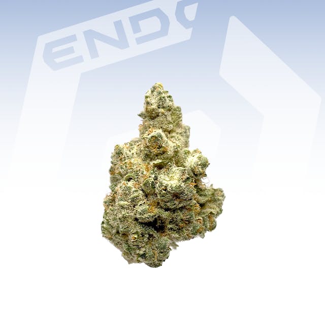 HAMMONTREE DUAL OG (SEEDED) 28G