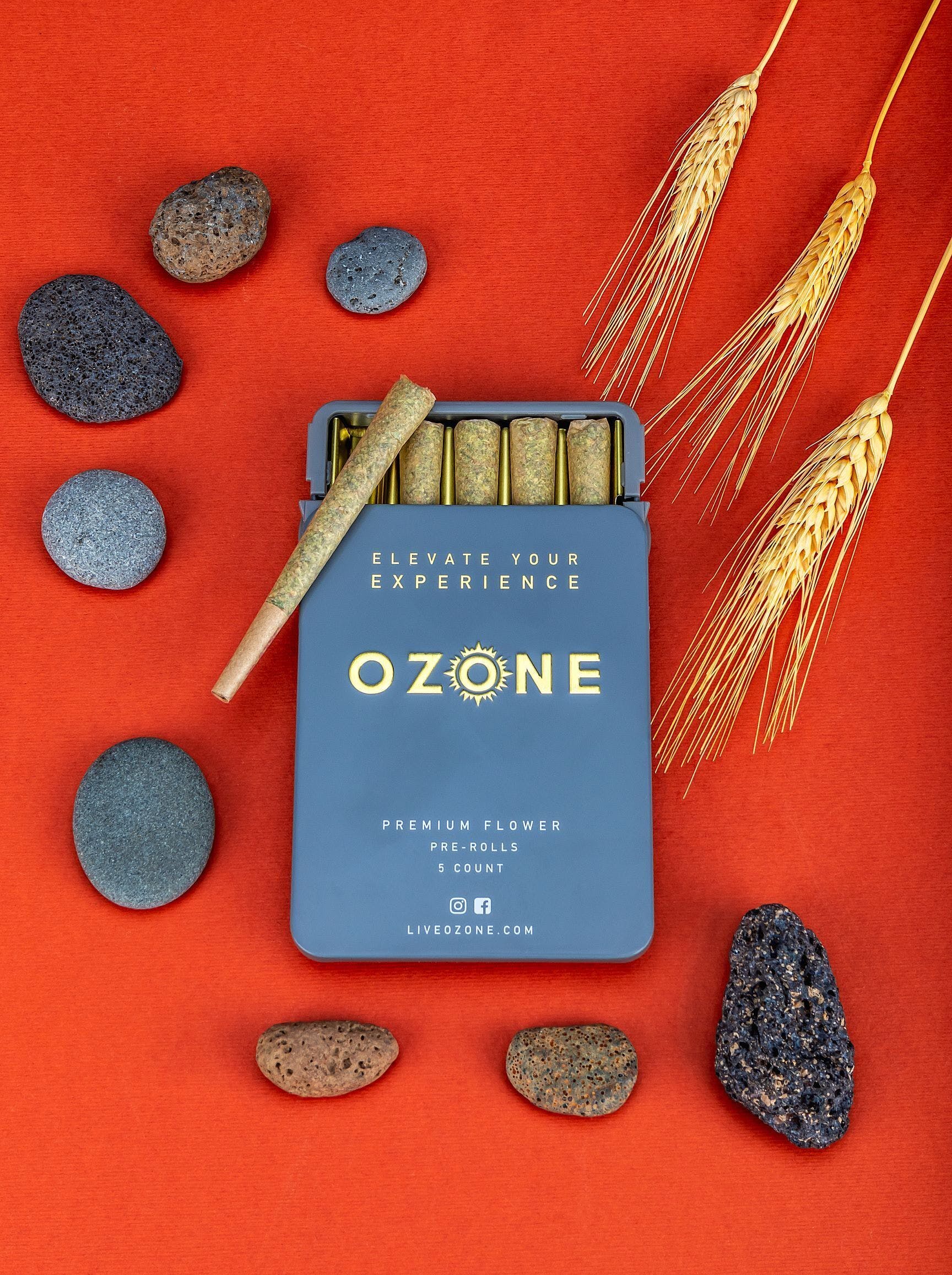 Cinnamon Buddha 5pk Pre-Roll Pack