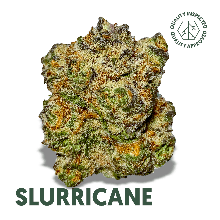 Slurricane (REC)
