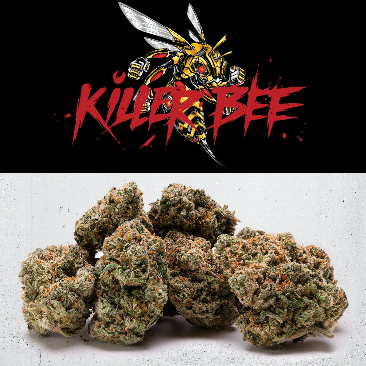 Gans Prepacked Booma