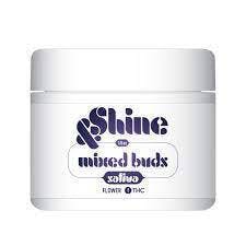 Premium Shelf &Shine Sour Diesel (S)