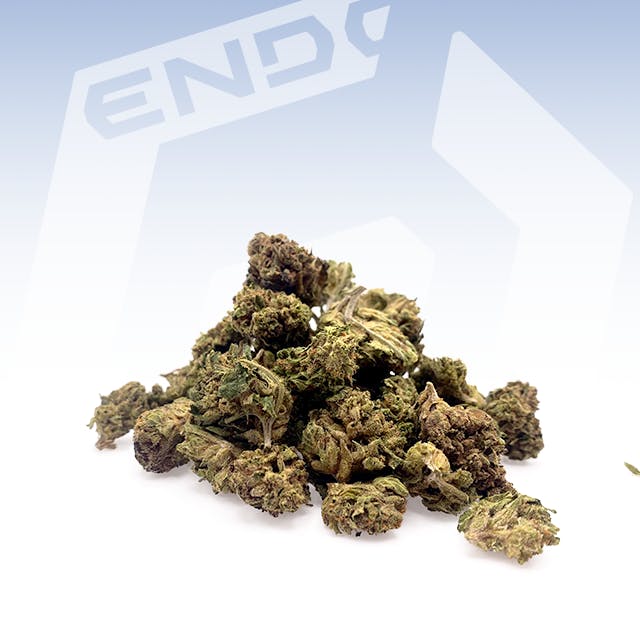 GARDEN THEORY TK#2 14G