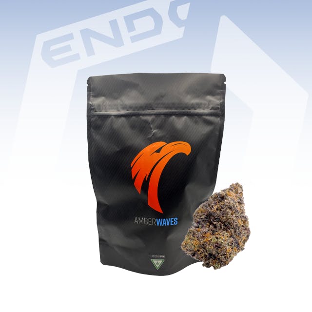 AMBER WAVES GARY PAYTON 28G PREPACK