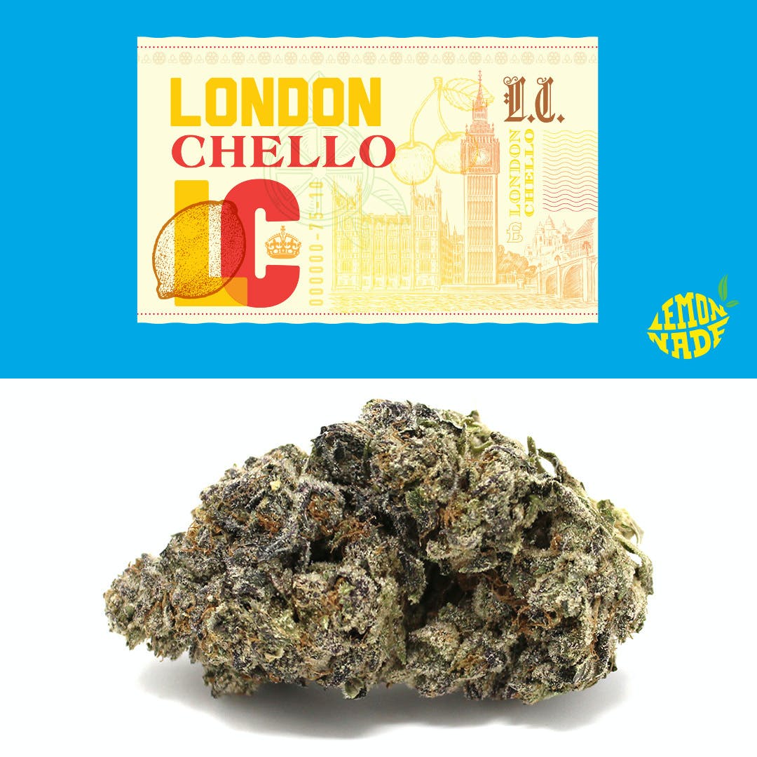 London Chello | Eighth