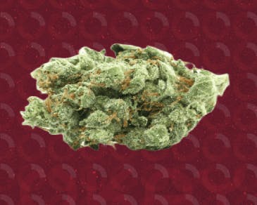 Aeriz- Daze Off- The Thinker 7g