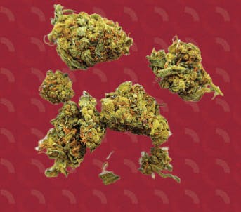 Aeriz- Daze Off- Infinity Pool 7g