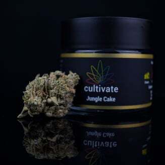 Jungle Cake | Cultivate (REC)