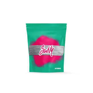 Coconut Cream Pie | Savvy (REC)