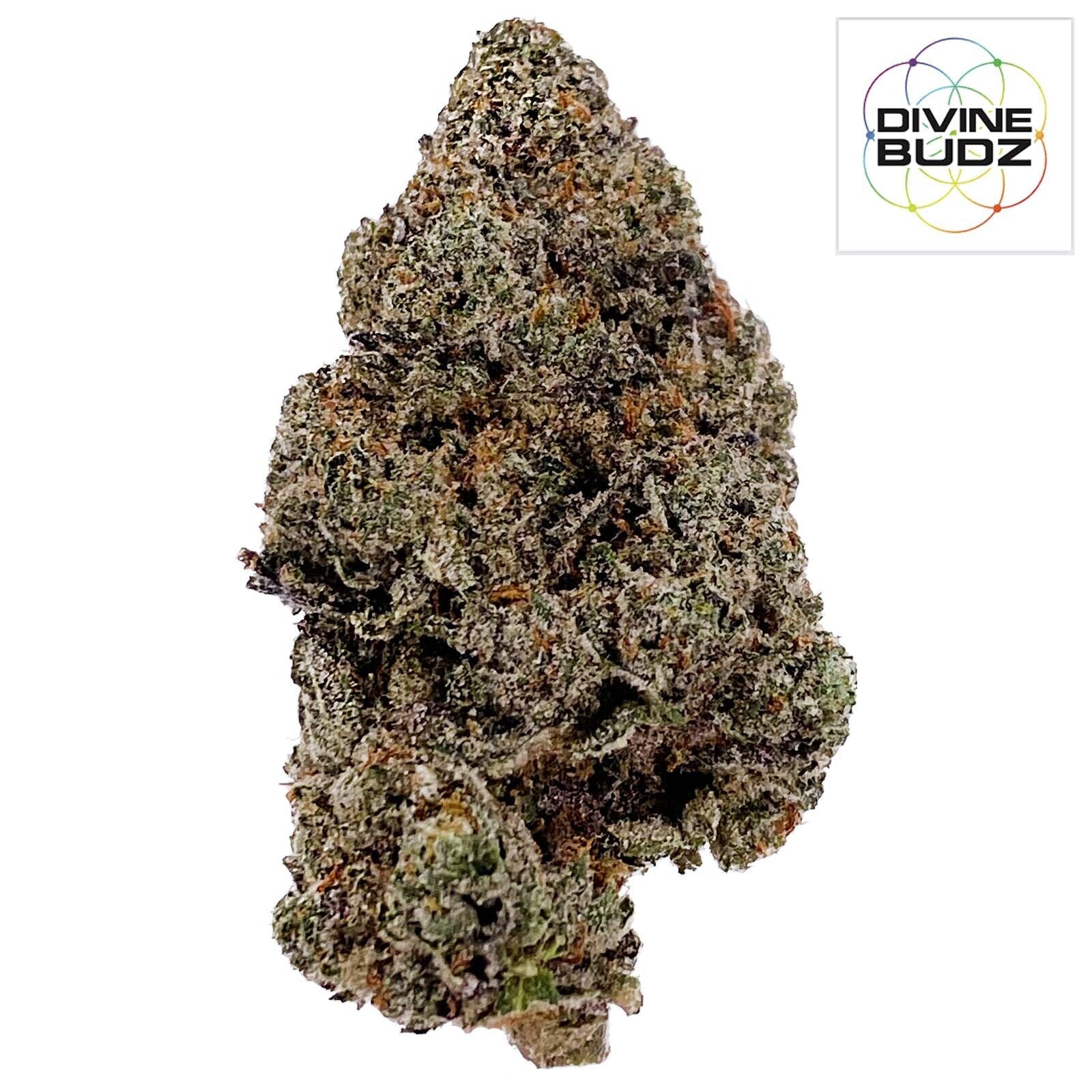 DIVINE BUDZ ELECTRO LIME MED