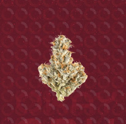 &Shine -Mendo Breath 7g