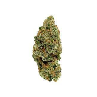 Banana Milkshake | matter. (REC)