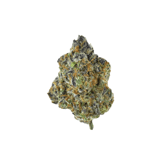 Cronuts #4 | PTS (REC)