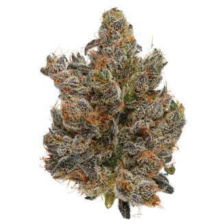 Dark Karma | Fig Farms (REC)