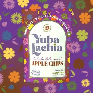 Dark Chocolate Covered Apple Chips (50mg) | Yubalachia (REC)