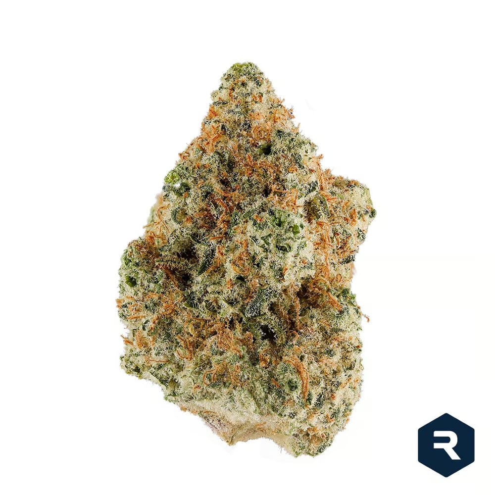 Connoisseur Shelf Revolution Frost Donkey BX1(S)