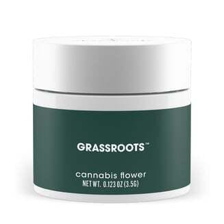 Layer Cake | Grassroots (REC)