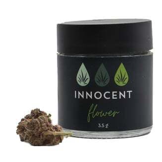 OCD Miracle | INNOCENT (MED)