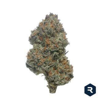 Blackberry Kush | Revolution Cannabis (REC)
