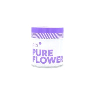 Panama Mac #5 | PTS (REC)