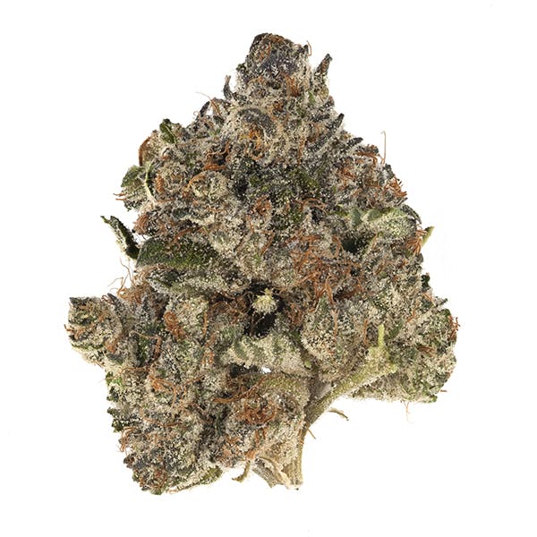 &Shine | Mixed Buds Orange Herijuana 1:1 (H)