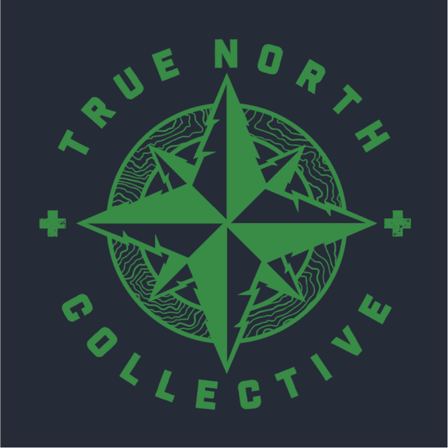 True North Collective - Blueberry Lemon Haze Full Spectrum Gummy (4x50mg)