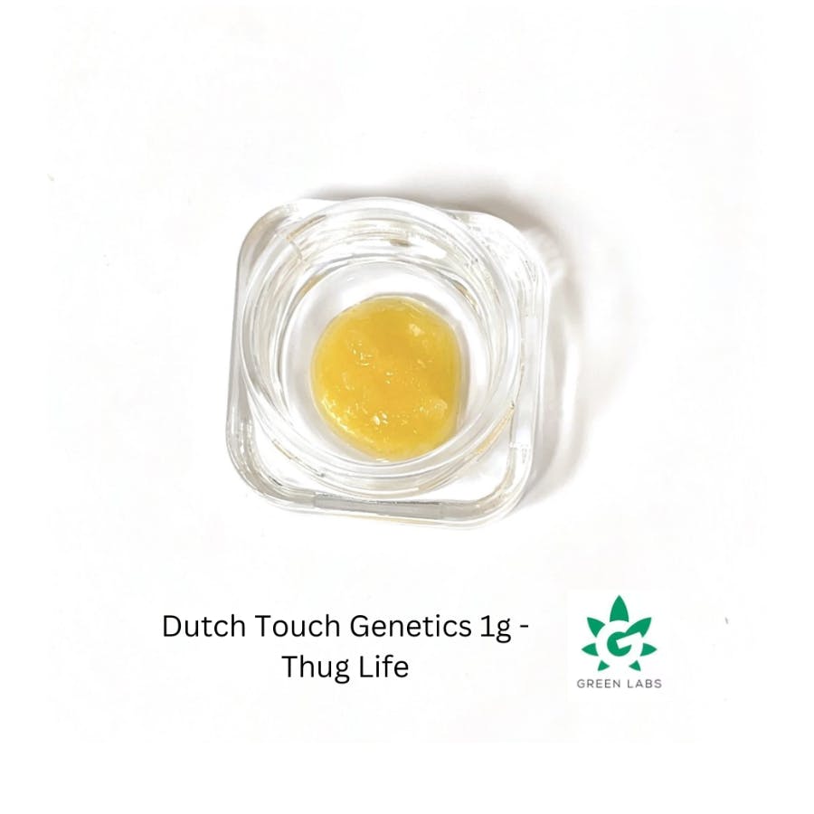 Dutch Touch Genetics Batter - Thug Life 1G