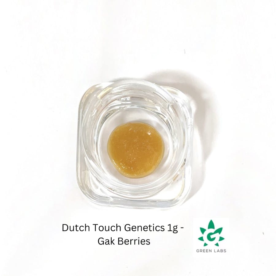Dutch Touch Genetics Batter - Gak Berriez #2 1G
